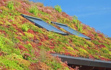 Galleywood living roof systems